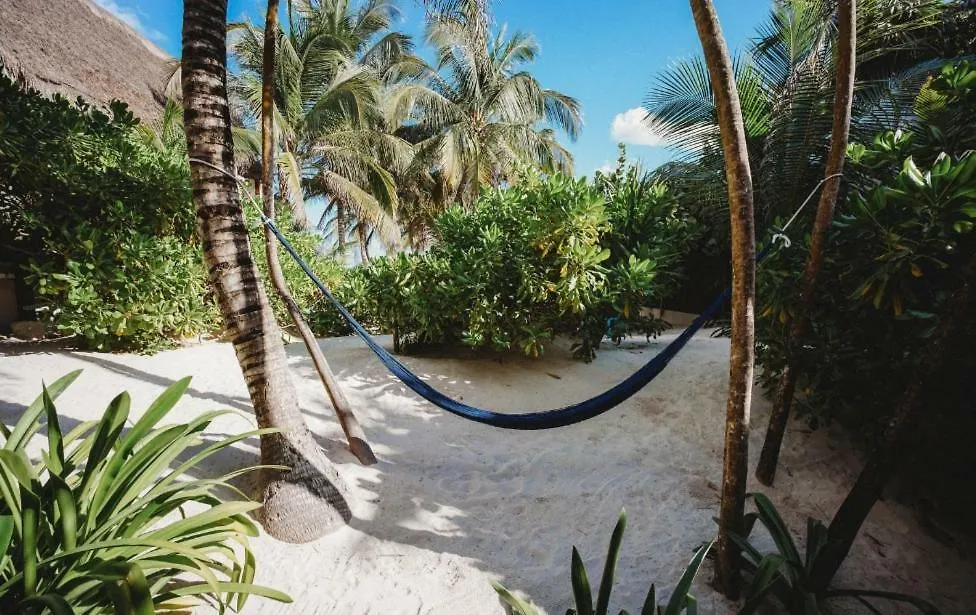Palms House Villa Tulum 0*,