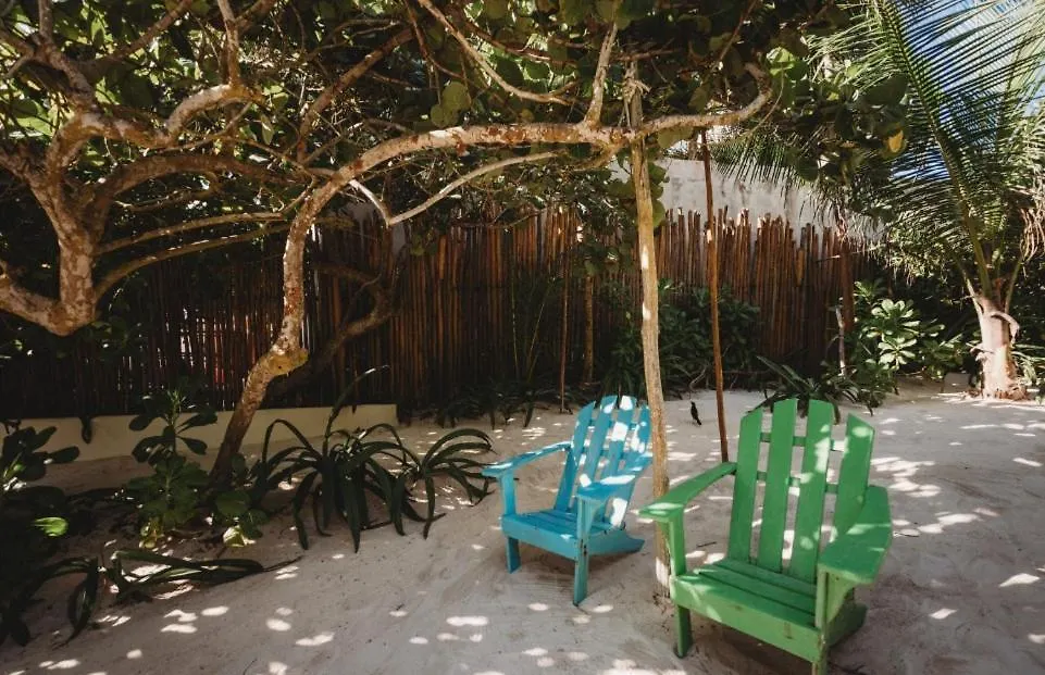 Palms House Villa Tulum
