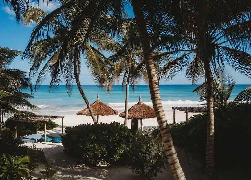 Palms House Villa Tulum 0*,  Mexico