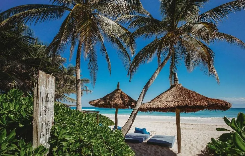 Palms House Villa Tulum Holiday home