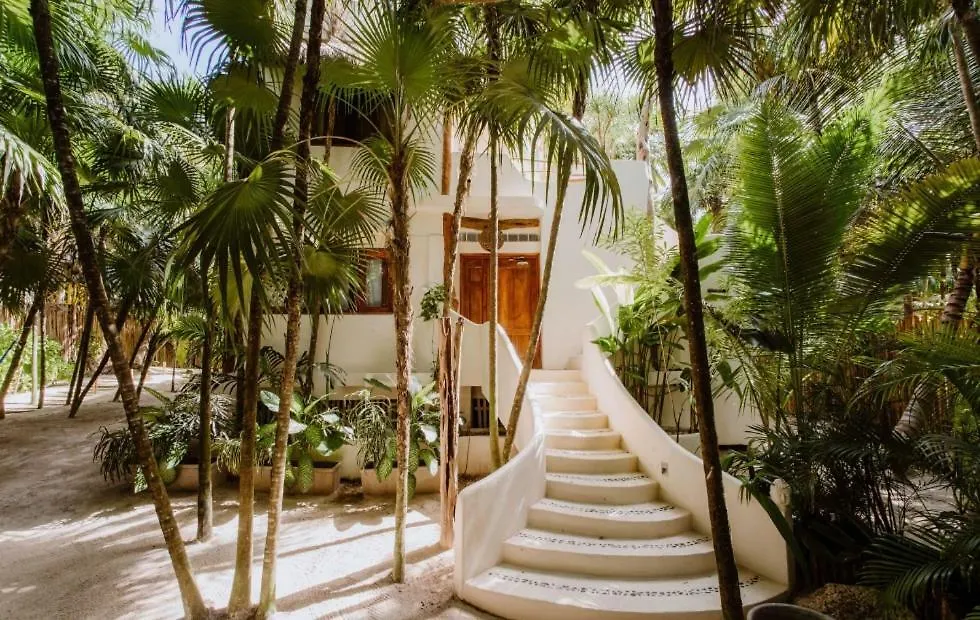 Palms House Villa Tulum Mexico